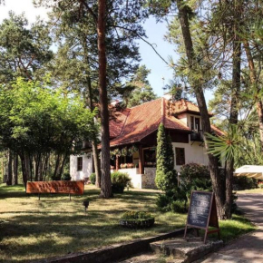  Leśny Dworek  Вышкув